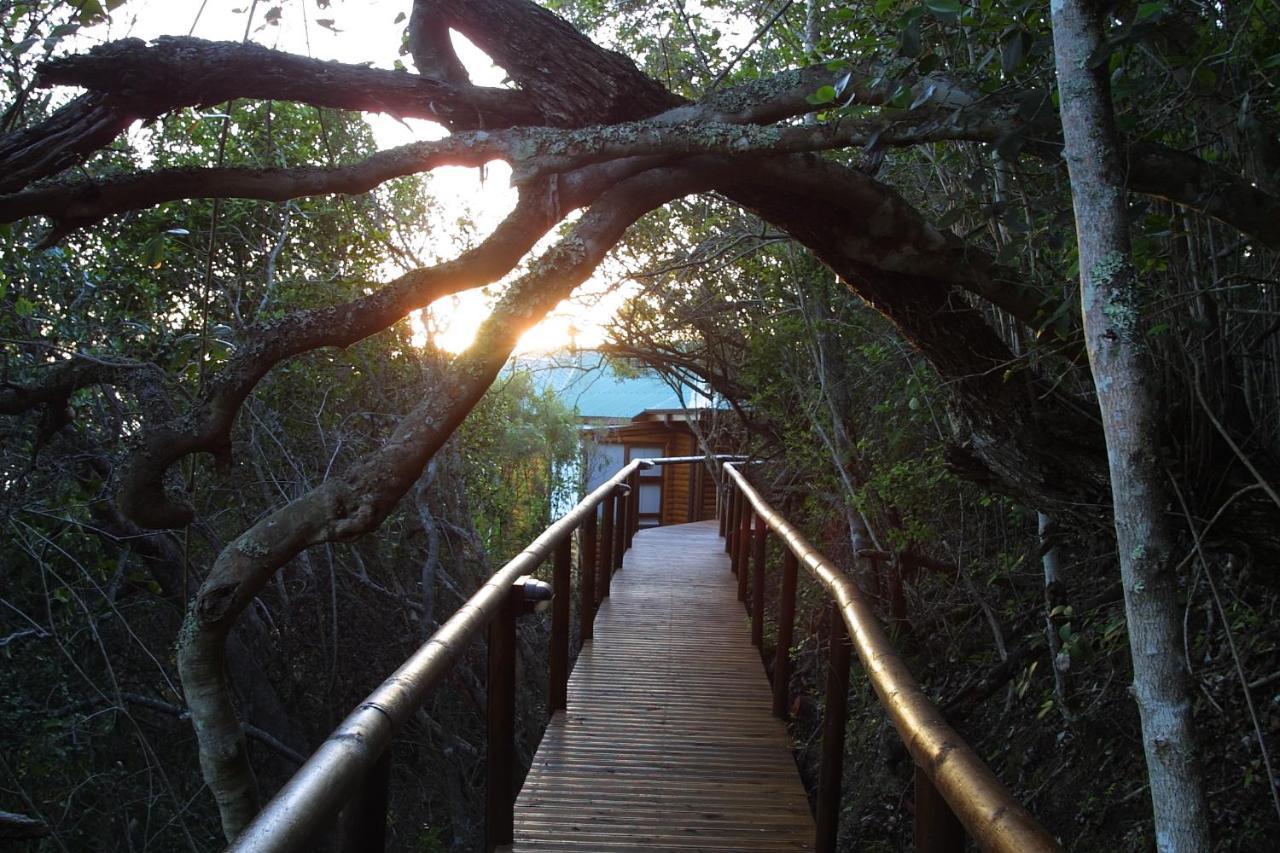 Under The Boardwalk B&B Guest House Wildernis Dış mekan fotoğraf